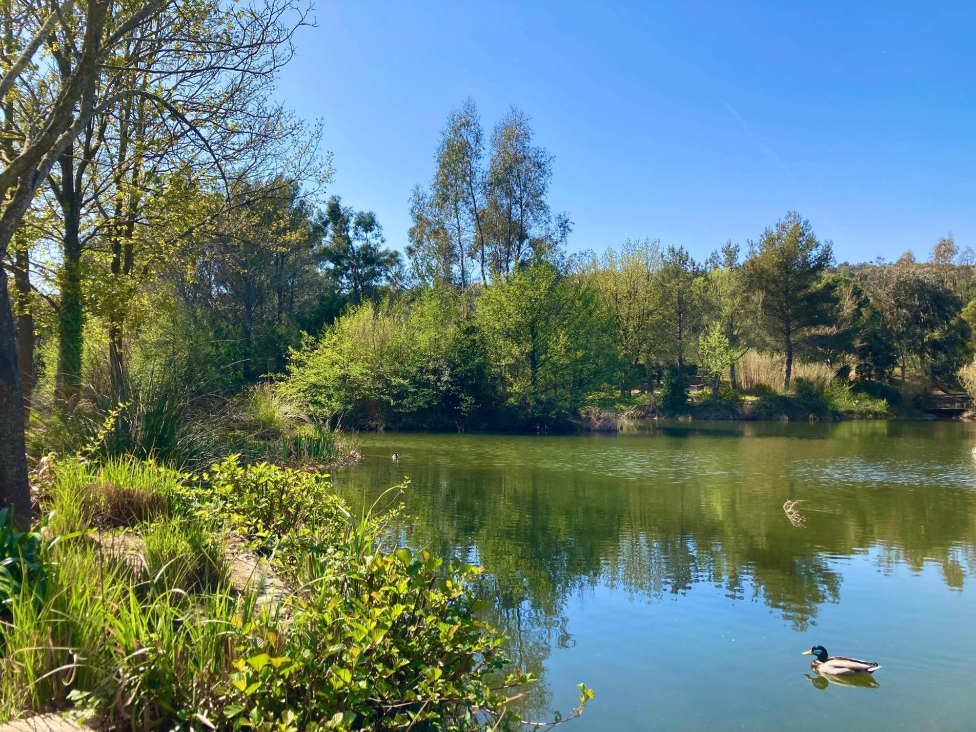 Les Restanques 3120 Vue Mer 3 Chambres Grimaud Zewnętrze zdjęcie